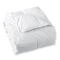 Sunflower Sunflower DBLC-90Q White Down Blend Comforter - Queen; 96 x 90 in. DBLC-90Q